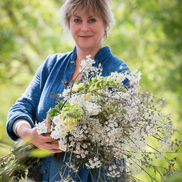 Sarah Raven Plants Armful of Biennials Jungpflanzen 9x9cm bienenfreundlich