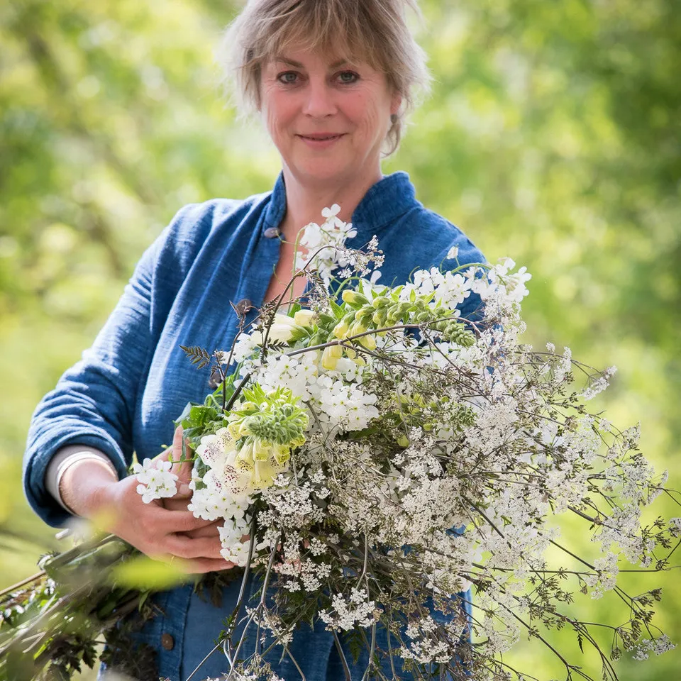 Sarah Raven Plants Armful of Biennials Jungpflanzen 9x9cm bienenfreundlich