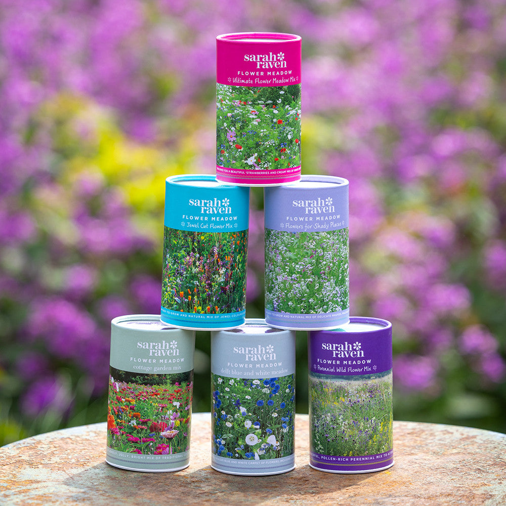 Sarah Raven Seeds Cottage Garden Mix Samen 6g Bienen