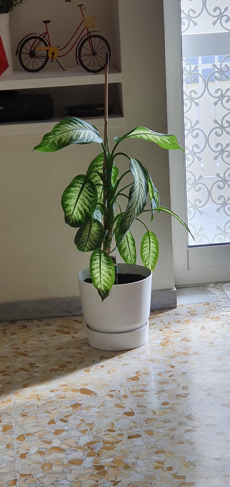 elho Greenville Rund Blumentopf 25 cm Weiß