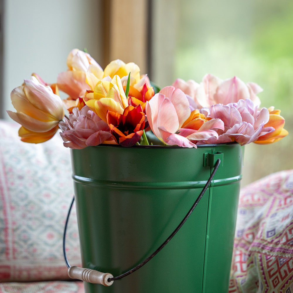 Sarah Raven April Sunrise Tulpenzwiebeln 30 Zwiebeln apricot