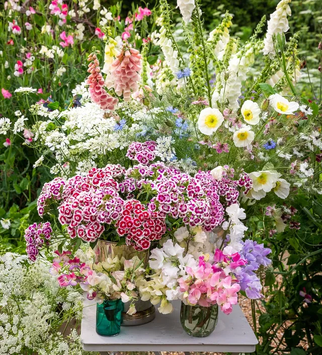 Sarah Raven Schnittblumen Kurs Perch Hill Farm September Termin