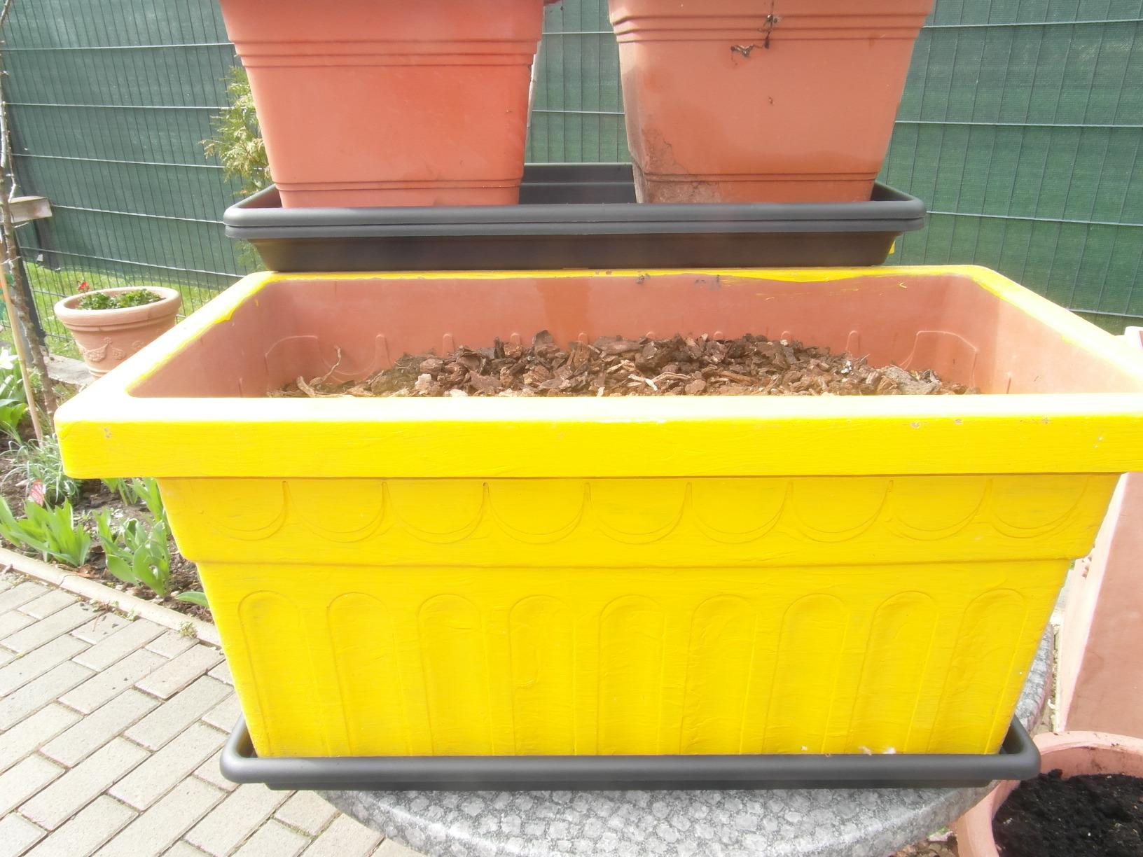 elho Green Basics Untersetzer 60 cm Laubgrün für außen