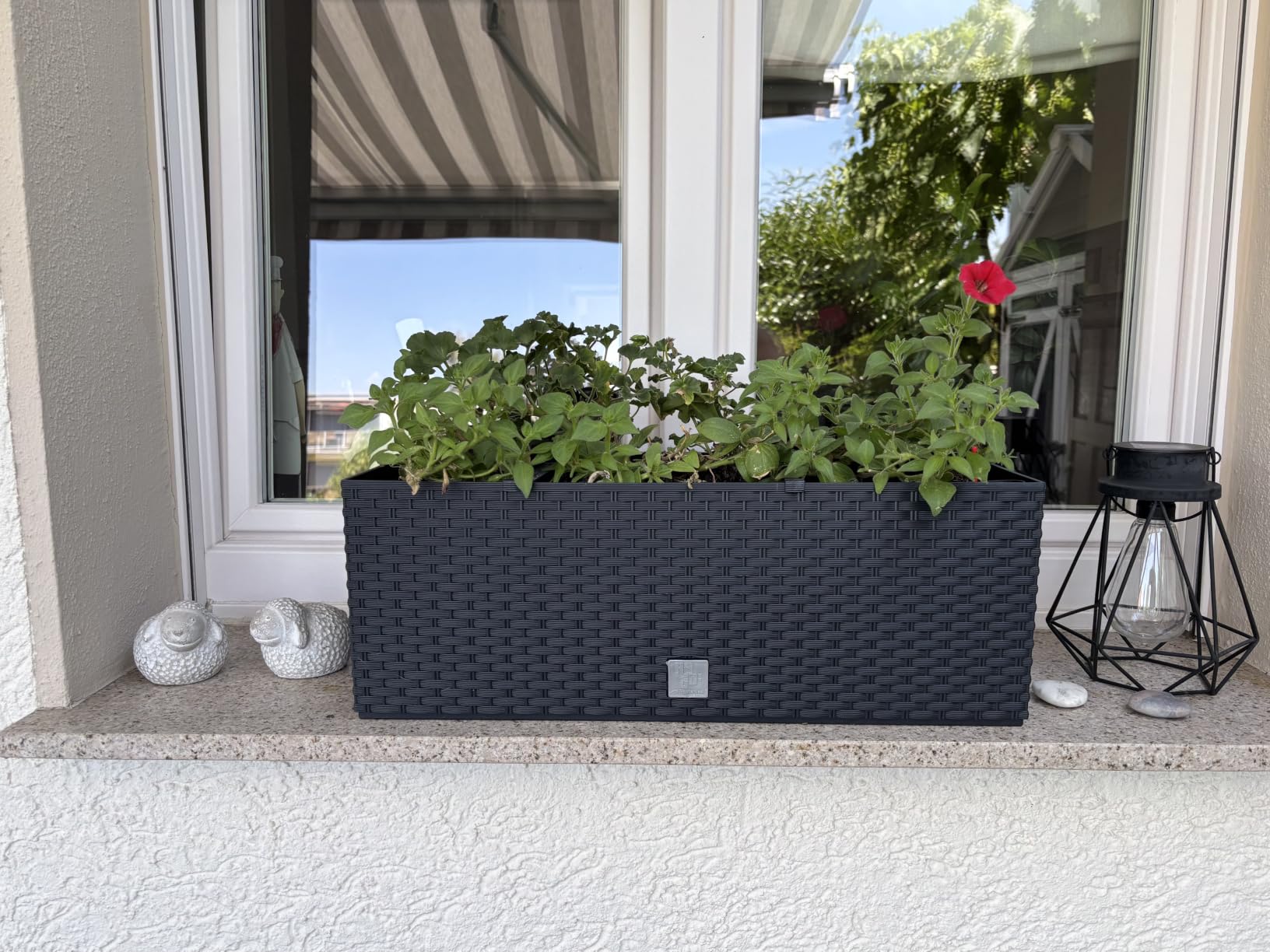 Prosperplast Rato Case Blumenkasten anthrazit 17L Bewässerung