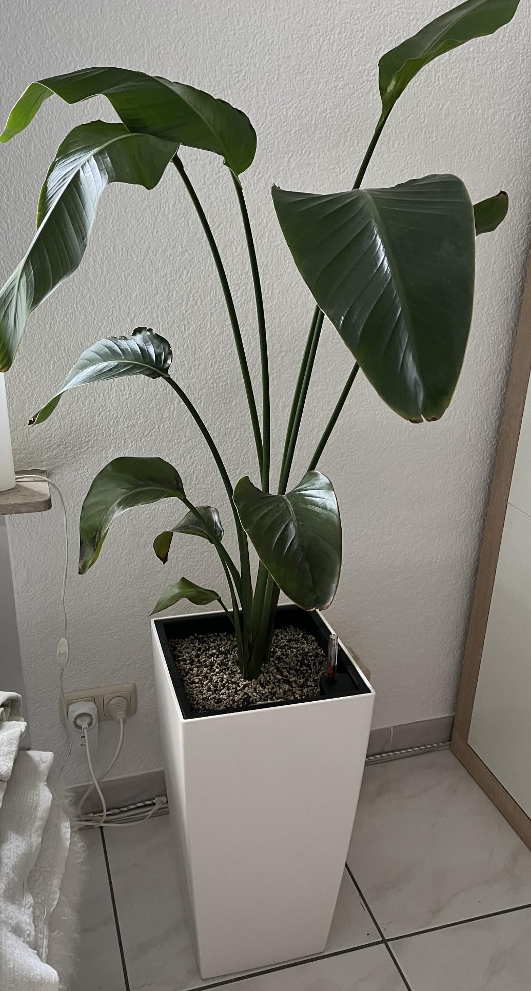 Lechuza Cubico Color 30 Pflanzgefäß Sandbraun mit Bewässerung