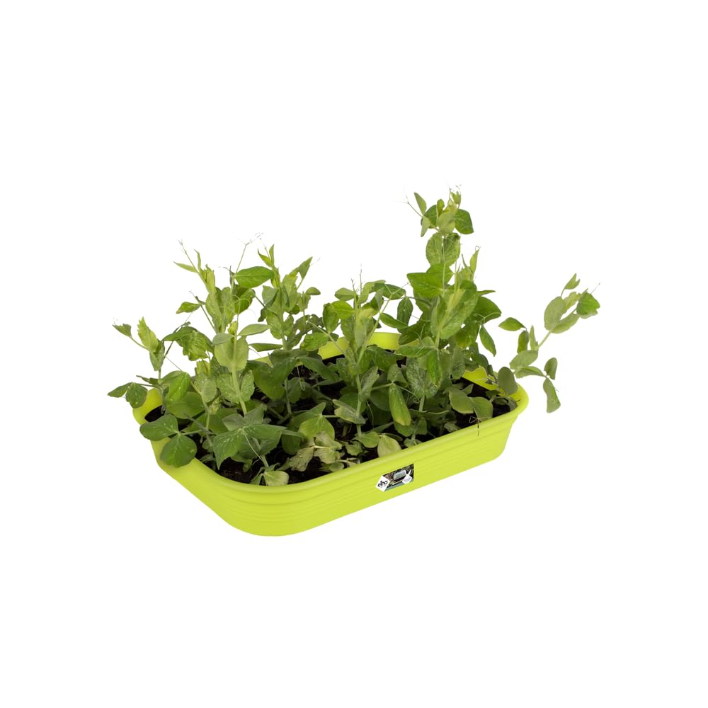 elho Green Basics Anzucht Schale M Pflanzschale Lime Grün
