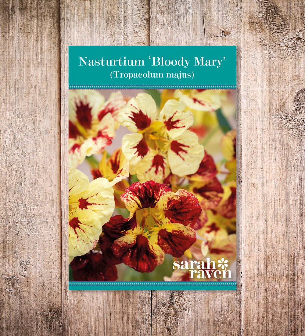 Sarah Raven Seeds Kapuzinerkresse Bloody Mary 25 Samen essbar