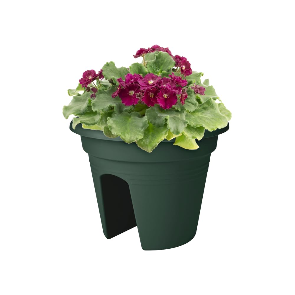 elho Green Basics Flower Bridge Balkonkasten 30 laubgrün
