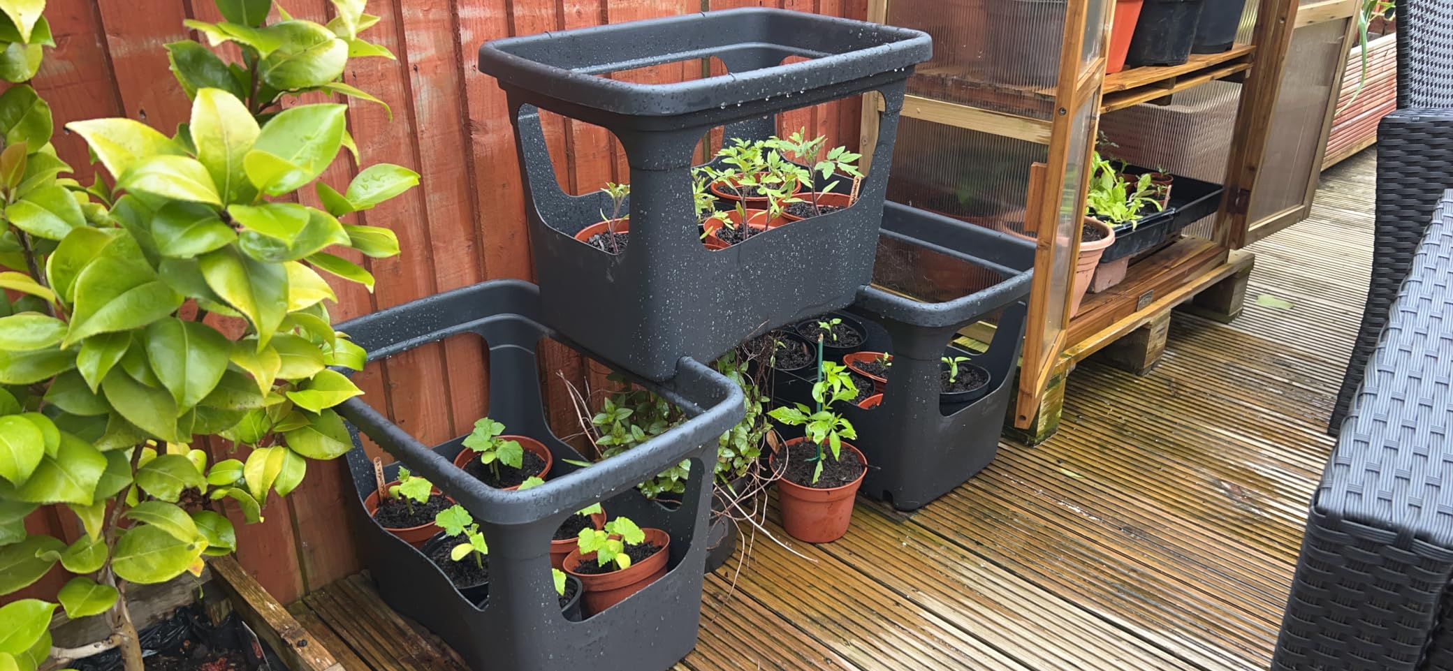 elho Green Basics Stack & Grow 50 Übertopf Schwarz Gemüse