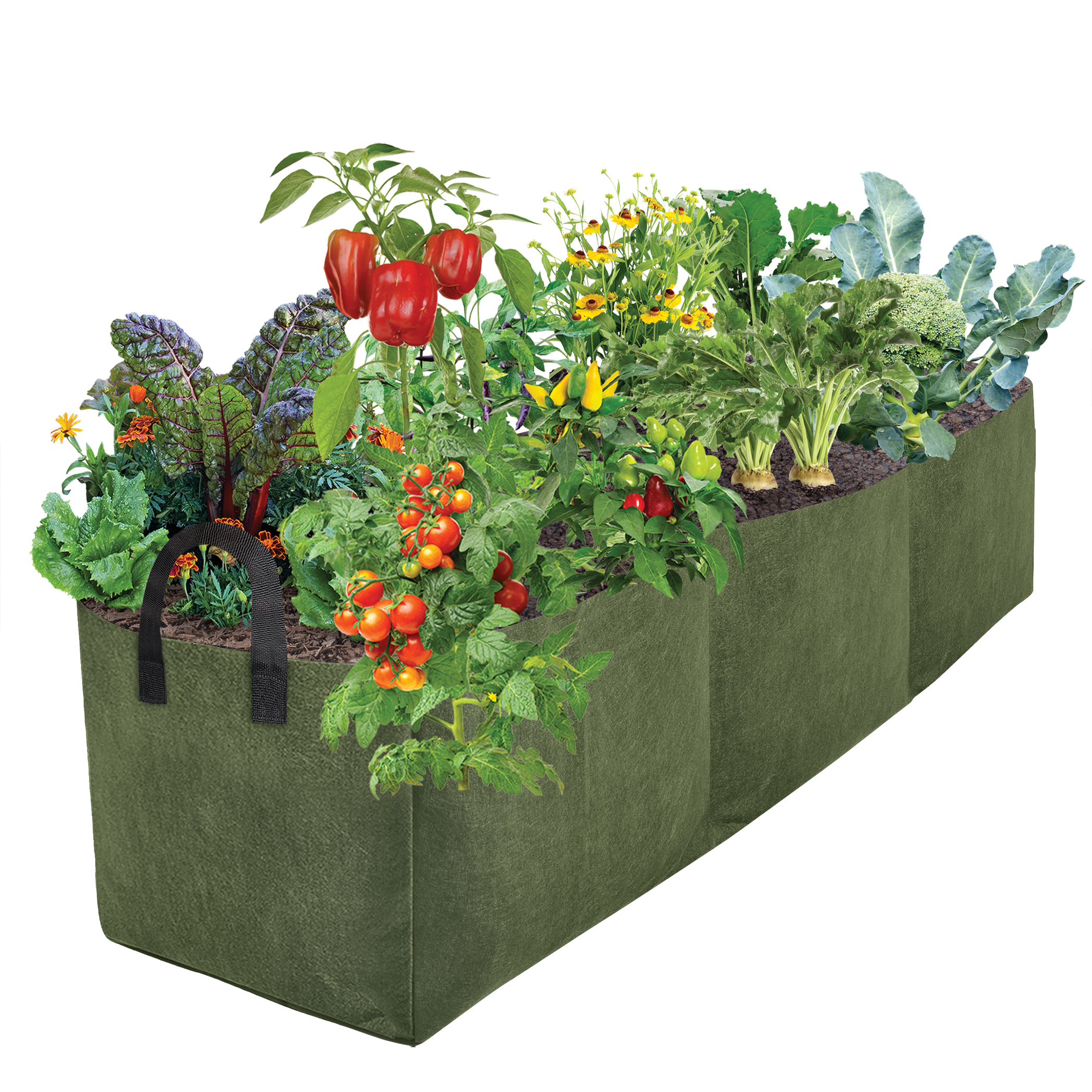 Smart Pot Raised Beds Pflanzsack Lil Shorty Hochbeet