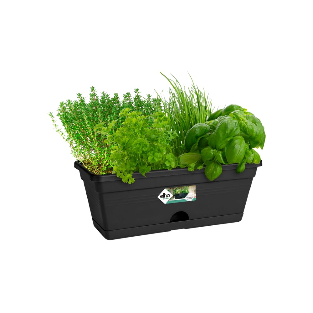 elho Green Basics Balkonkasten Mini 30cm Schwarz Untersetzer