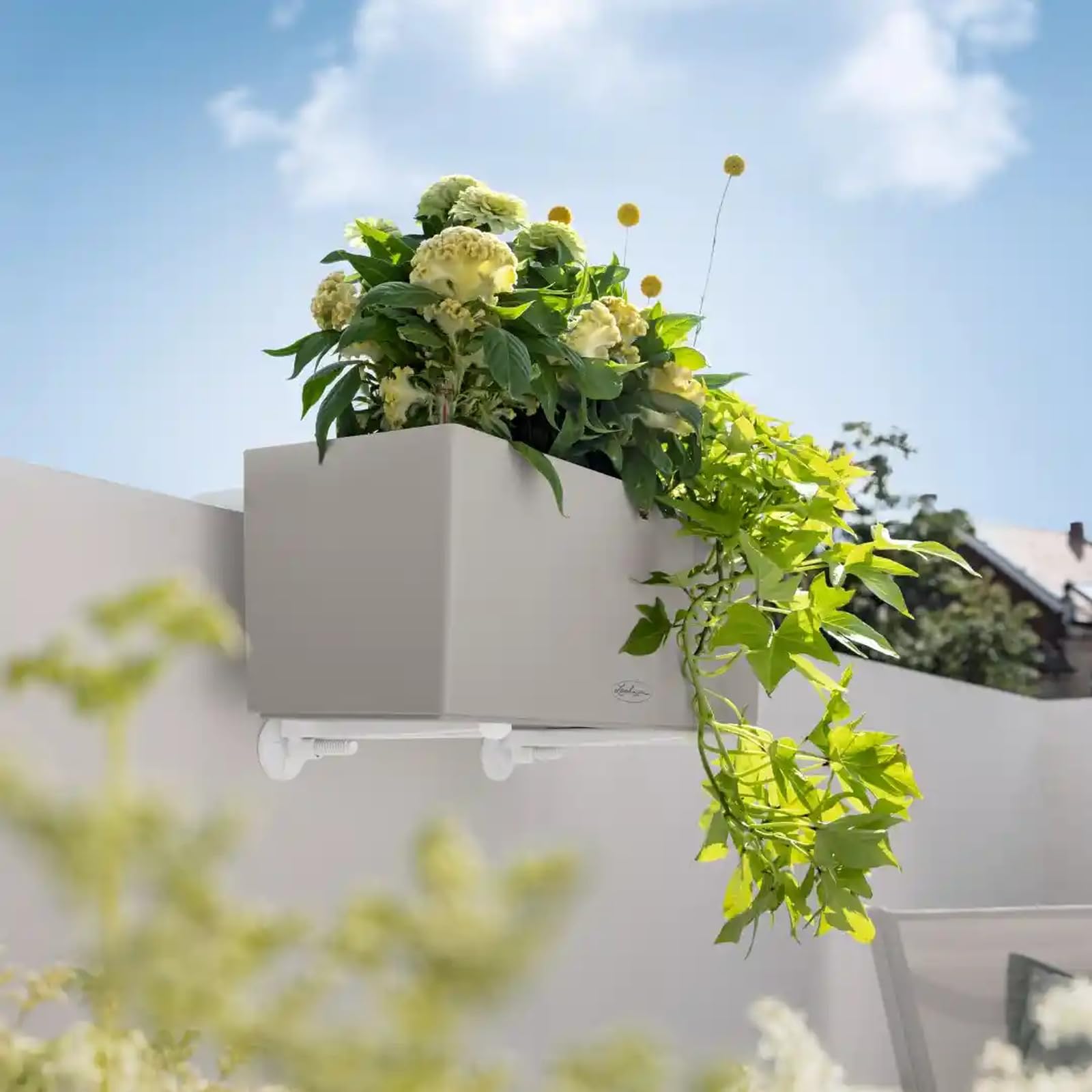 Lechuza Balconera Wall Halter Schwarz für Balkonkasten