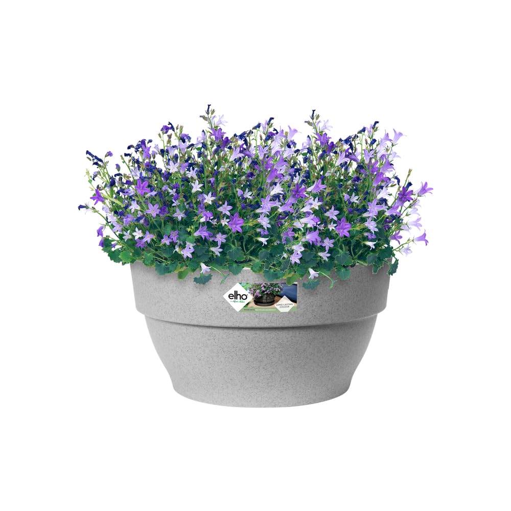 elho Vibia Campana Schale 34 cm Pflanzschale Living Beton frostbeständig
