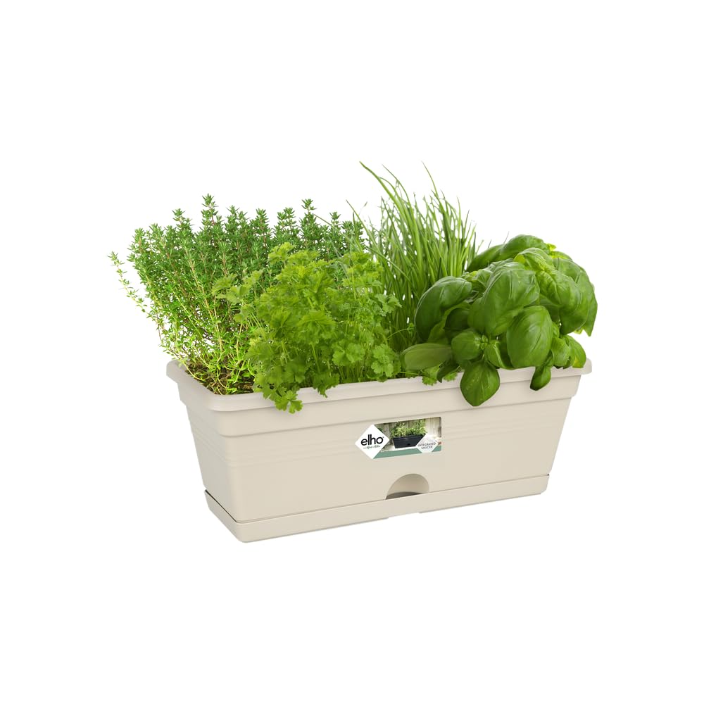 elho Green Basics Balkonkasten Mini 30 Baumwolle frostsicher