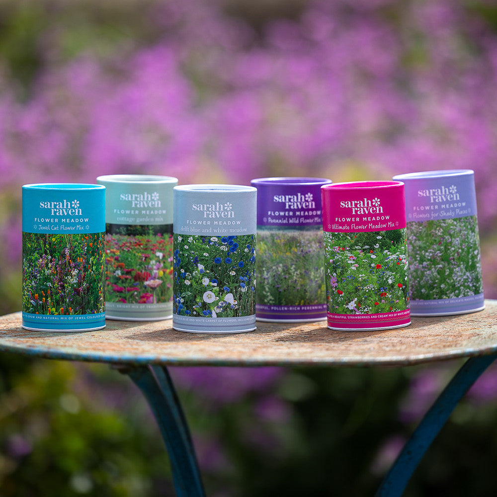 Sarah Raven Ultimate Flower Meadow Mix Blumensamen 6 g