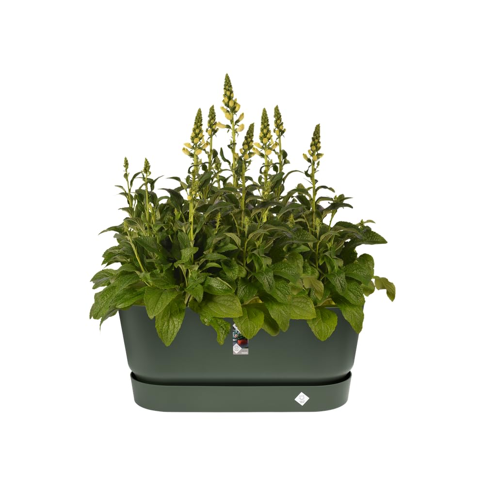 elho Greenville 80cm Pflanztopf Leaf Green mit Rollen