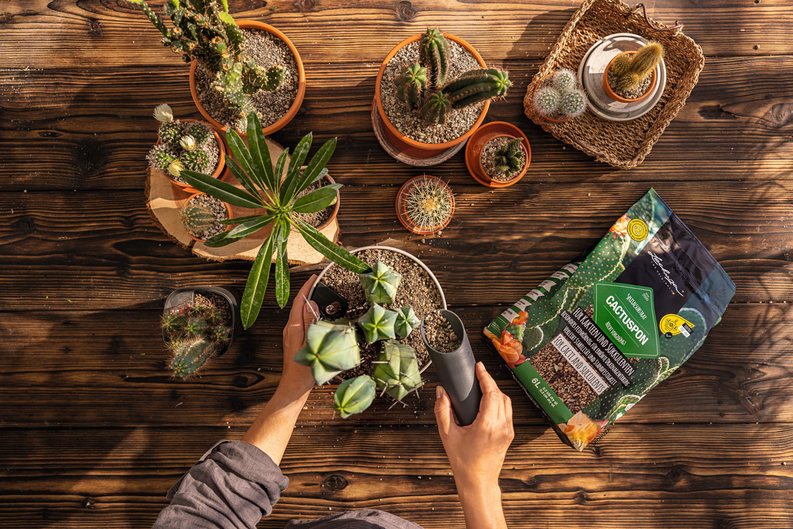 Lechuza Cactuspon Pflanzsubstrat 6 Liter Kakteen
