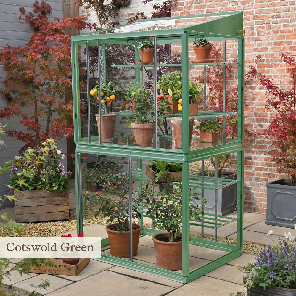 Sarah Raven Classic Grow House Gewächshaus Cotswold Grün Glas