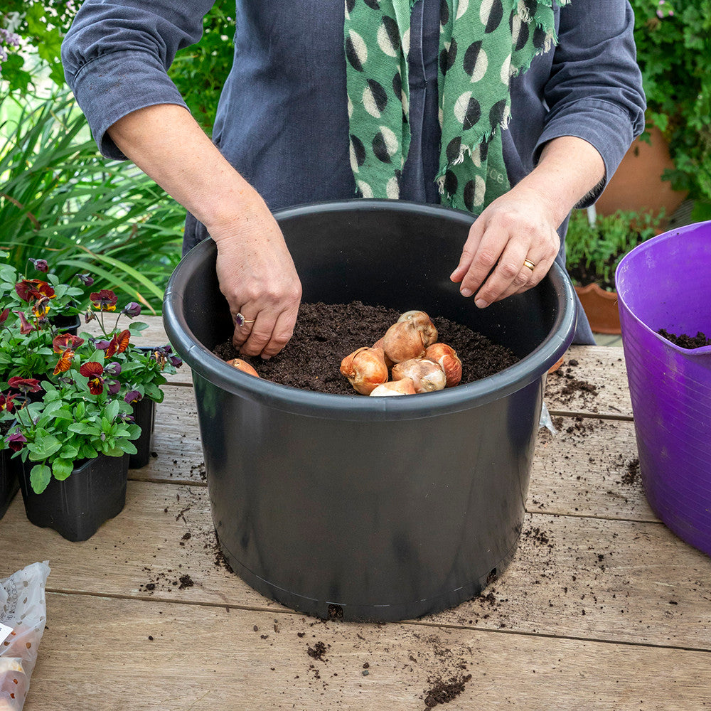 Sarah Raven Pots for Successional Planting Pflanztopf 2er-Set 20L