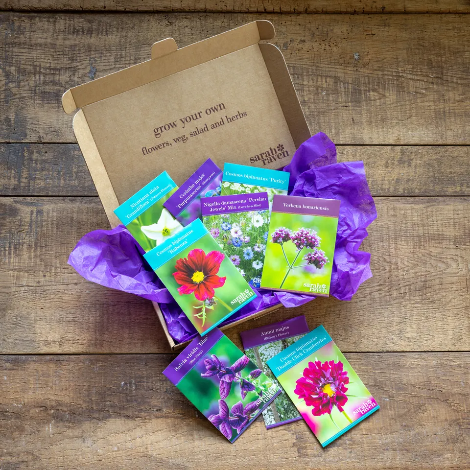 Sarah Raven Seeds Abundant Borders Blumensamen 9 Tüten farbenfroh