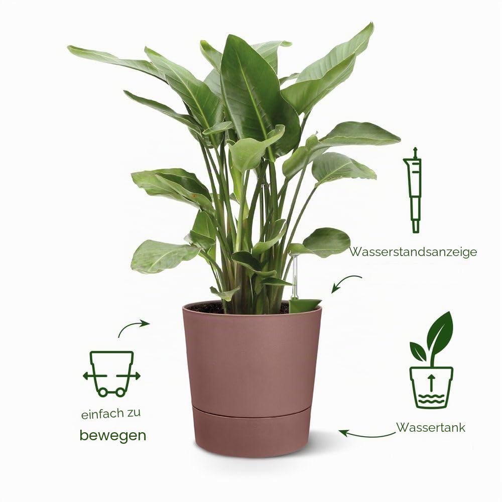 elho Aqua Care Rund 30 Blumentopf Light Beton 30cm