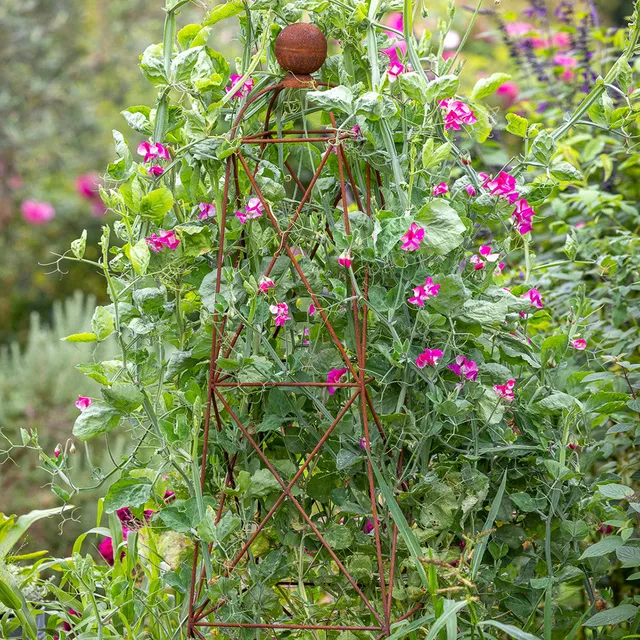 Sarah Raven King Garden Obelisk Rankhilfe 160 cm Rost