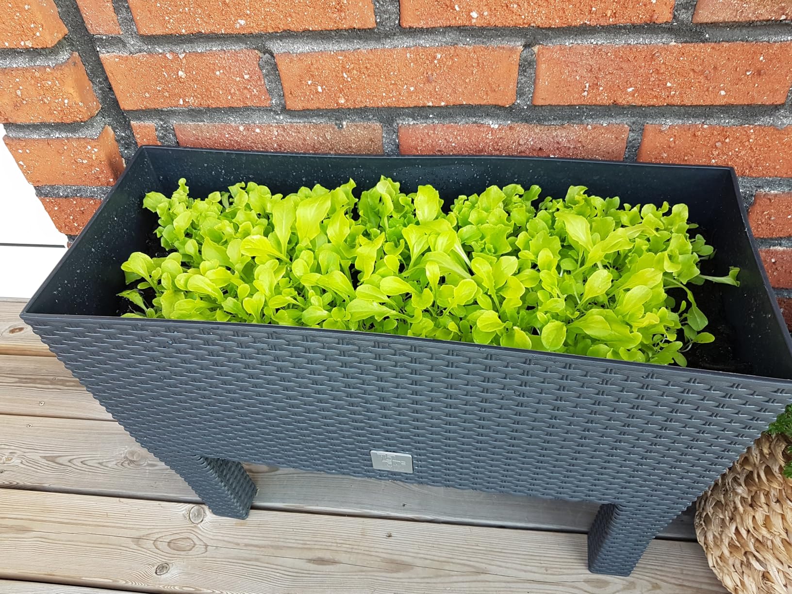 Prosperplast Rato Case High Blumenkasten schwarz 60cm Bewässerung