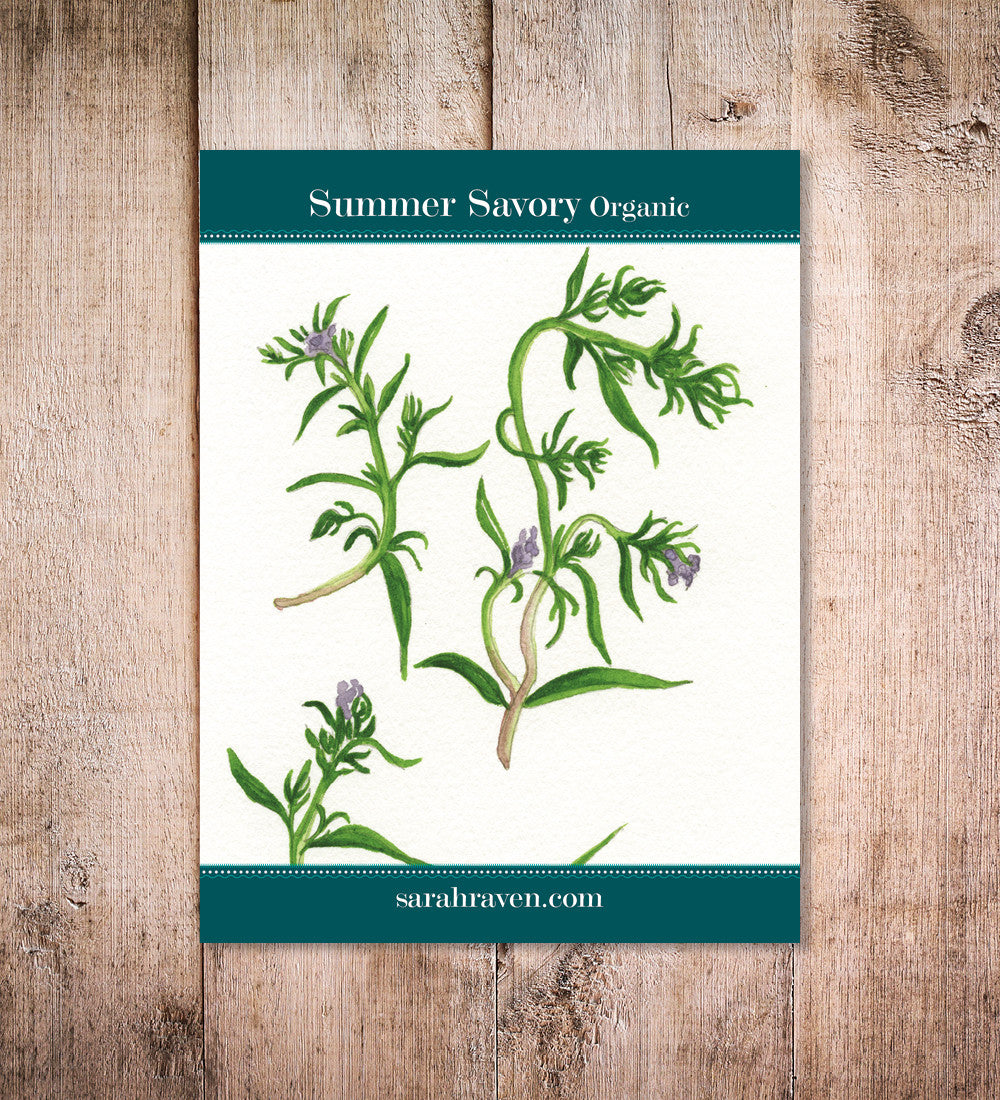 Sarah Raven Plants Summer Savory Samen 250 Samen bio