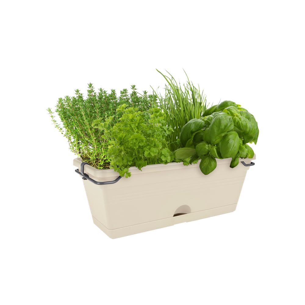 elho Green Basics Balkonkasten Mini 30 Baumwolle frostsicher