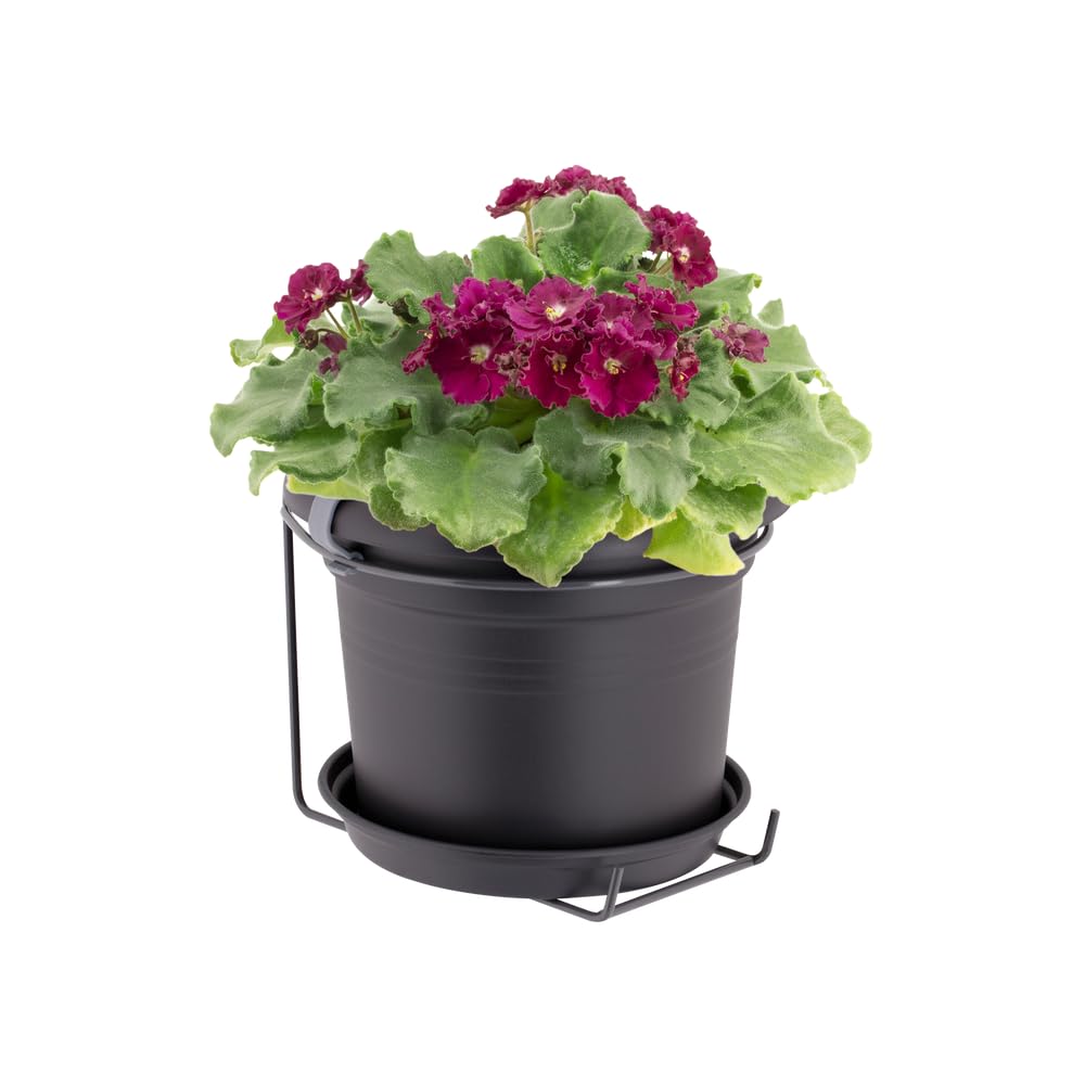 elho Green Basics Wandtopf Allin1 20 cm Lebhaft Schwarz