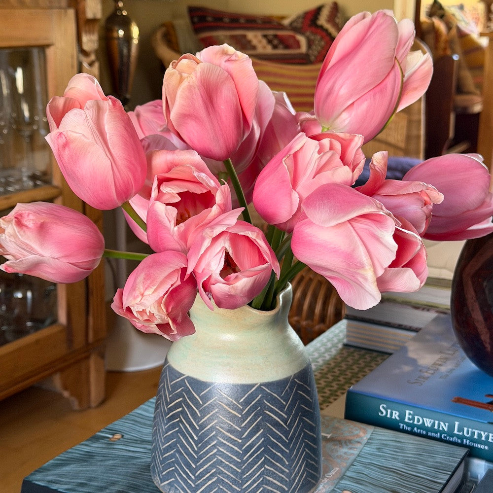 Sarah Raven Tulpe Menton Blumenzwiebeln Koralle-Rosa 10 Stück