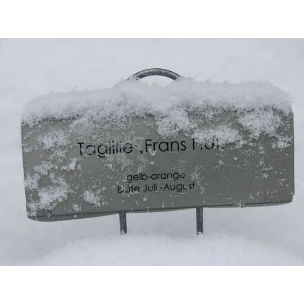 GardenMate Pflanzschilder Poster XL Metall Pflanzstecker 55 cm 25er Set