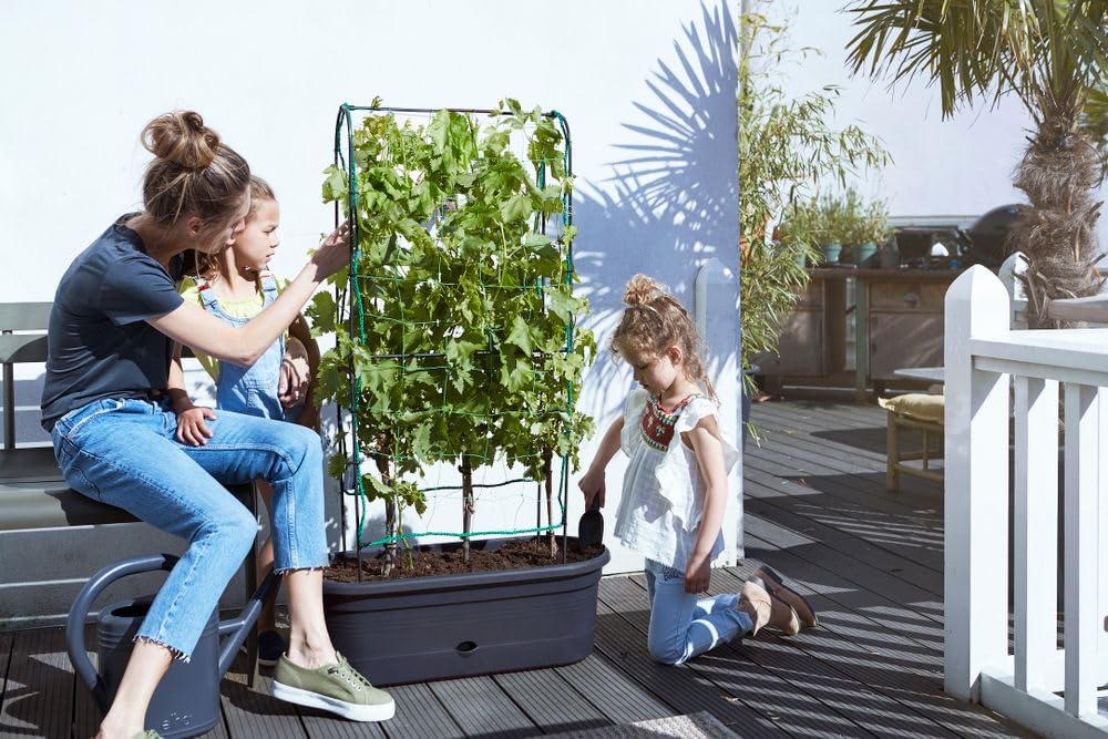 elho Green Basics Veggie Wall Pflanzkasten 80cm Living Schwarz