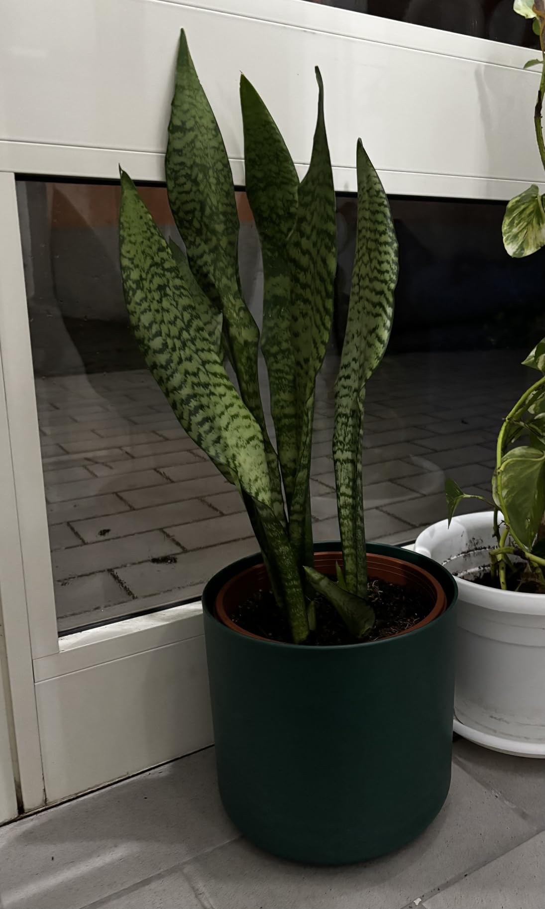 elho Ocean Collection Rund 22 Blumentopf Atlantikblau recycelt