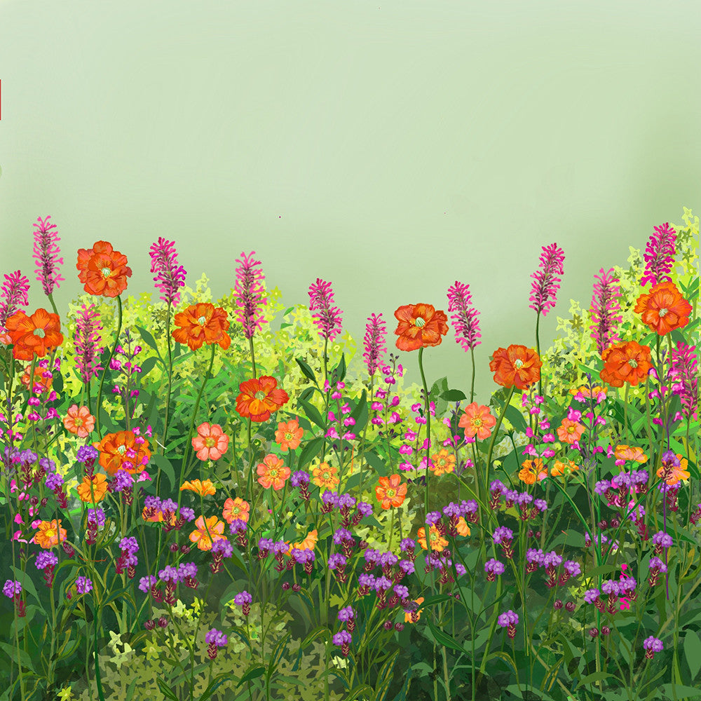 Sarah Raven Plants Bright Border Collection Pflanze 18x9cm bunt