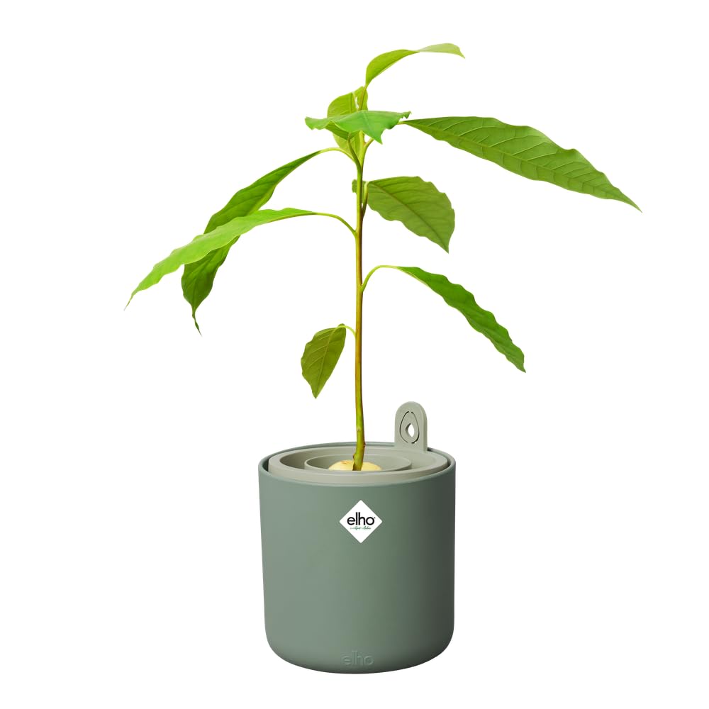elho Amazing Avocado Pot Blumentopf leaf green 12 cm recycelt