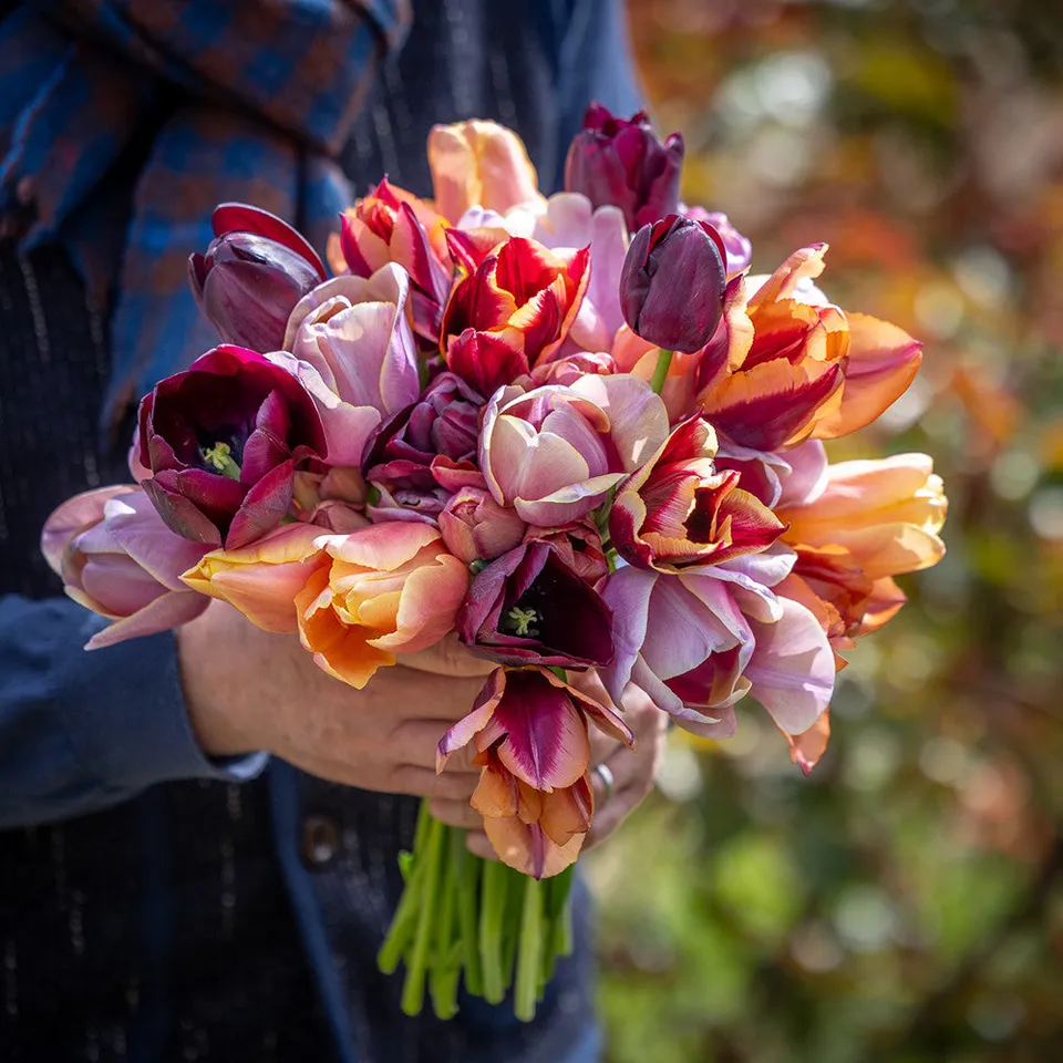 Sarah Raven Bulbs Smokey Hues Tulpenzwiebeln 20 Stück Schnittmischung