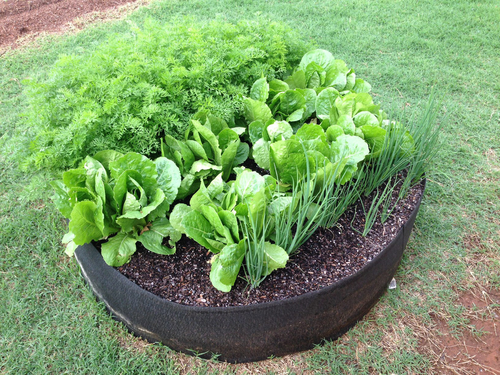 Smart Pot Raised Beds Round Raised Bed Hochbeet 36 Inch Schwarz Stoff