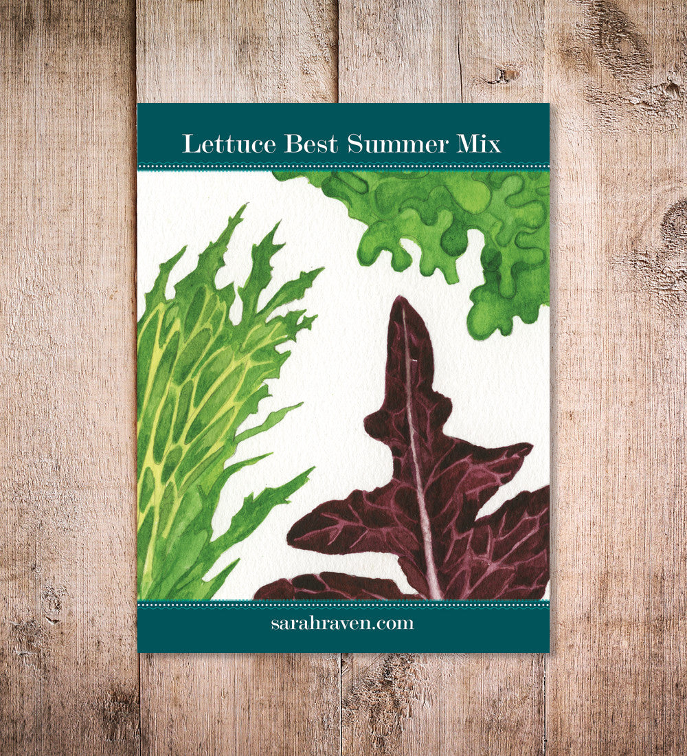Sarah Raven Seeds Salat Best Summer Mix Samen 1000 Samen Sommer