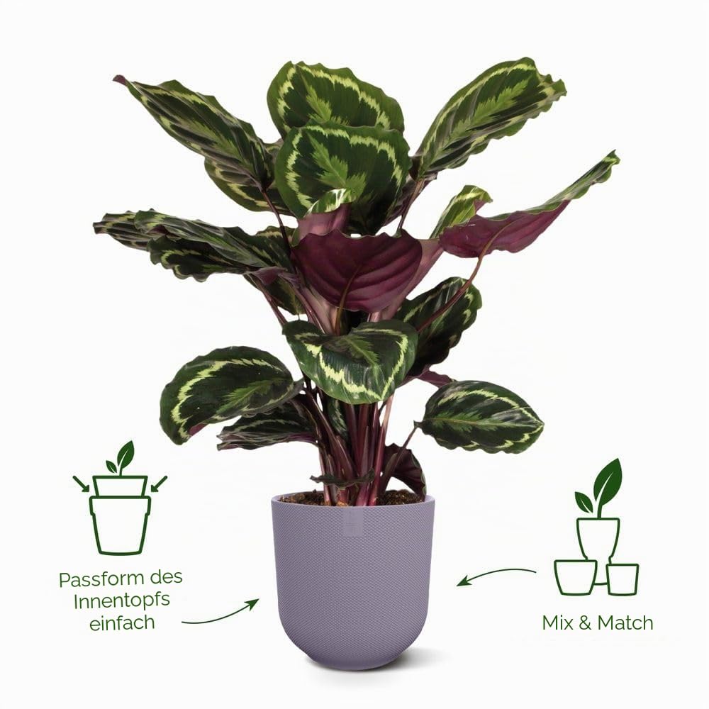 elho Jazz rund 26 Blumentopf Lavendel Lila recycelt