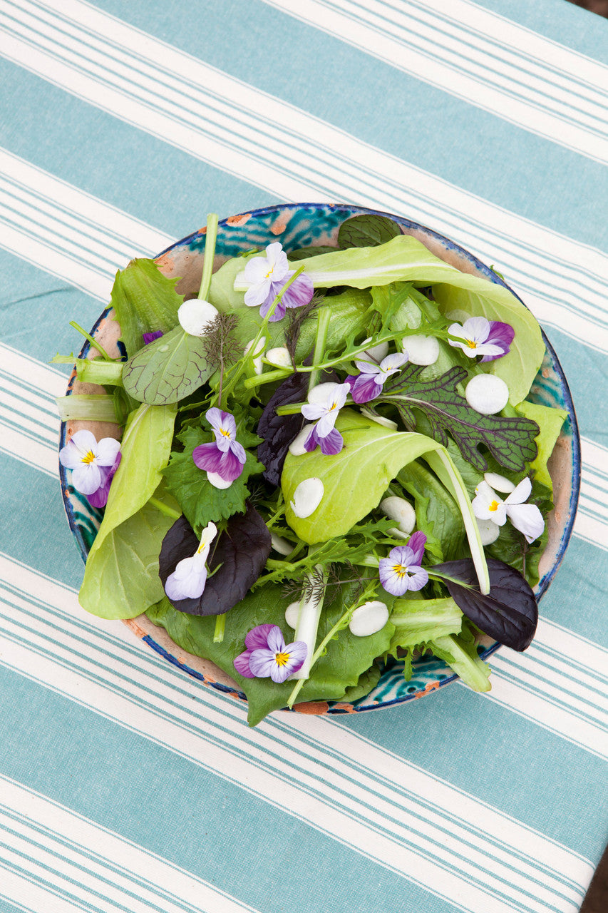 Sarah Raven Seeds Salad Leaf Salatsamen 500 Samen hitzetolerant