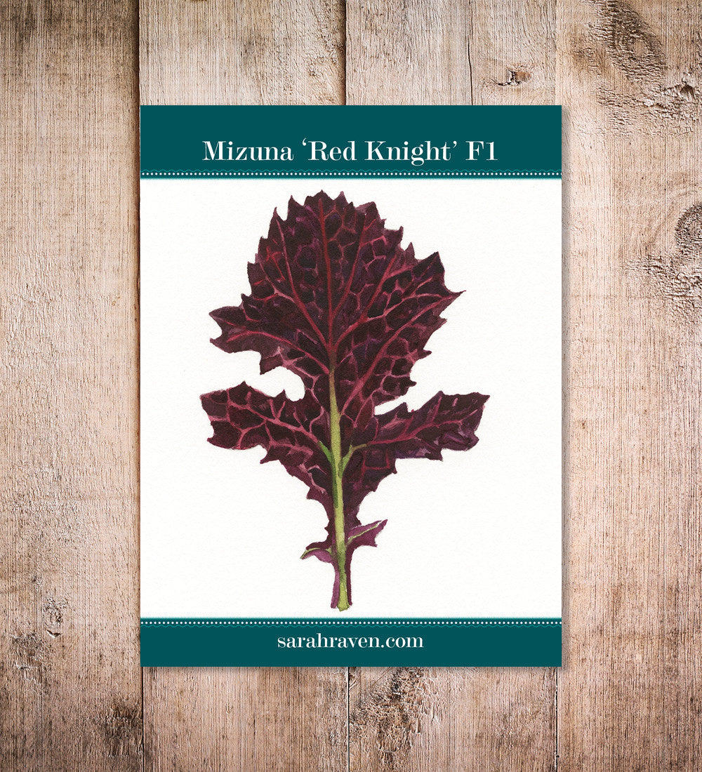 Sarah Raven Seeds Mizuna Red Knight F1 Samen 400 violett