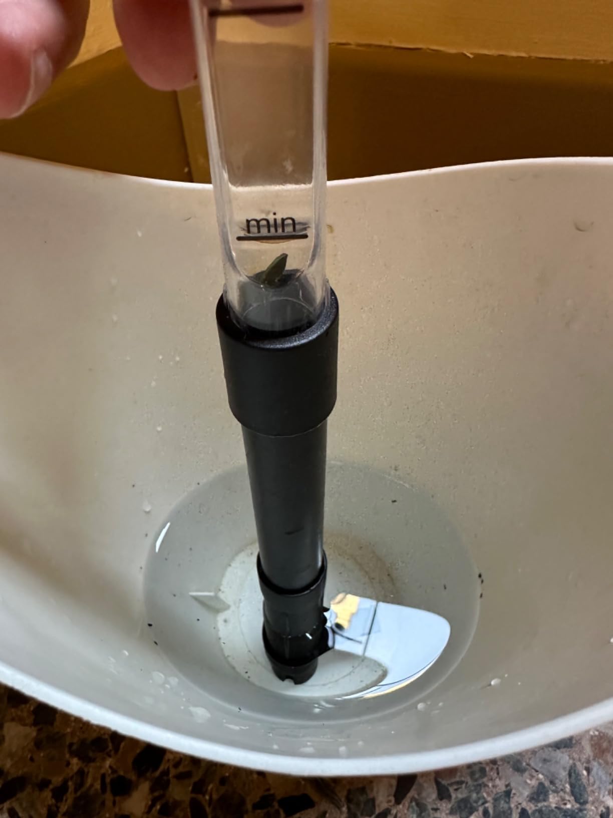 elho Bewässerungssystem 24 cm Living Schwarz Selbstbewässerung