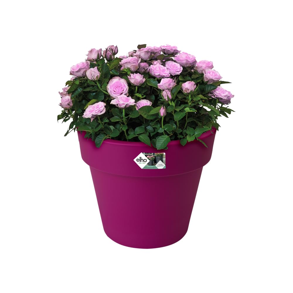 Elho Green Basics Top Planter 23 Blumentopf Kirsche 23 cm