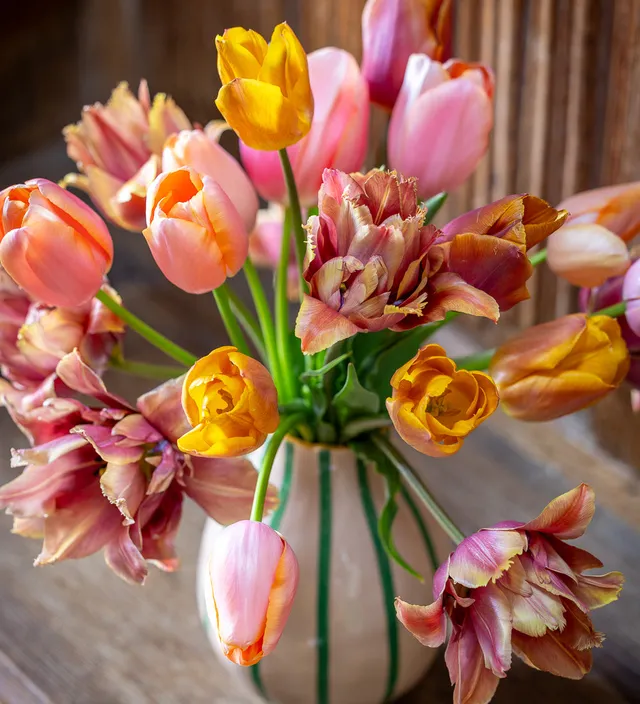 Sarah Raven Bulbs Sissinghurst Tulpenzwiebeln 40 Stück