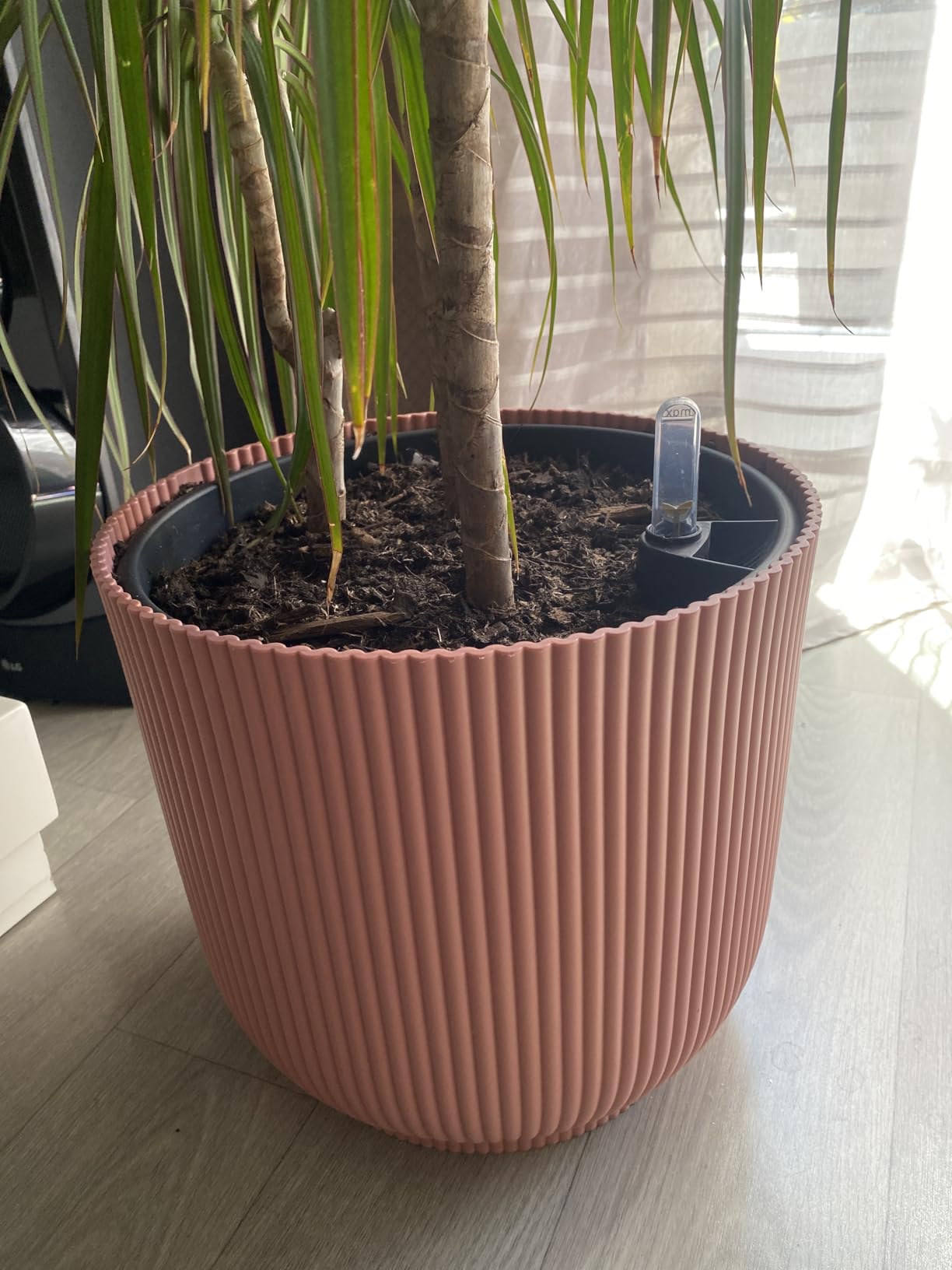 elho Vibia Campana 37 Blumentopf Anthracite Quadratisch