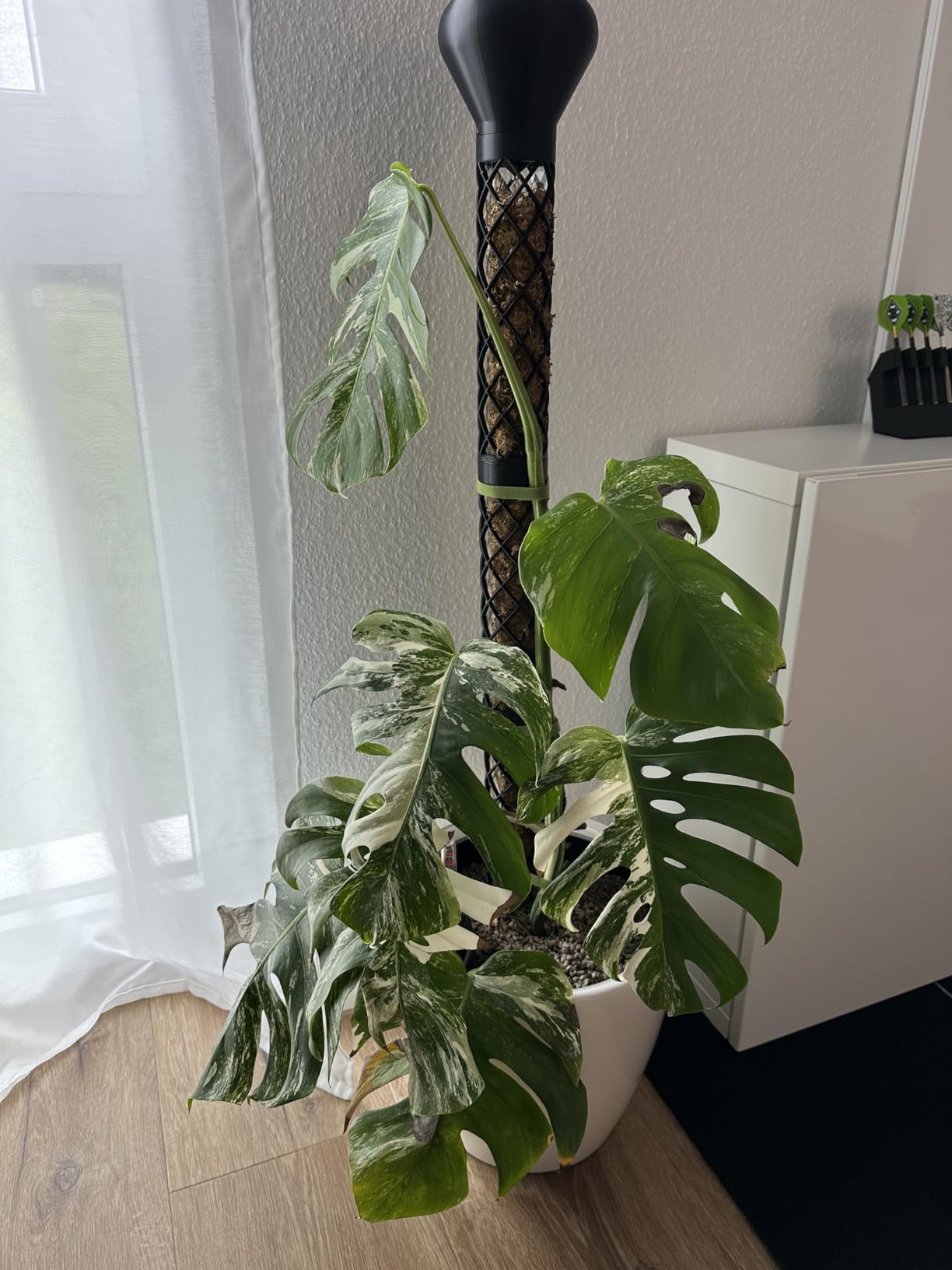 Lechuza Classico Premium LS 35 Pflanzgefäß weiß Hochglanz
