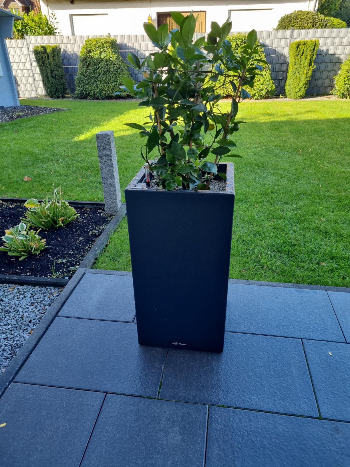Lechuza Canto Stone 30 Low Pflanztopf Graphitschwarz Steinoptik