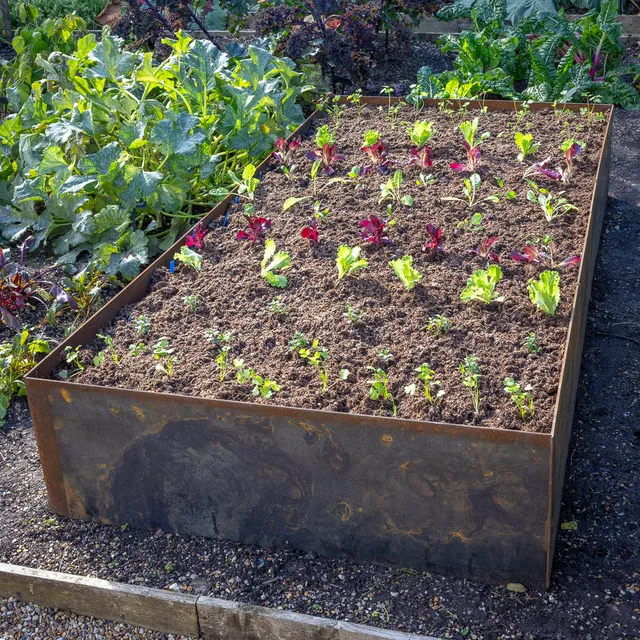 Sarah Raven Solid Steel Raised Beds Hochbeet Rechteck Stahl 40cm