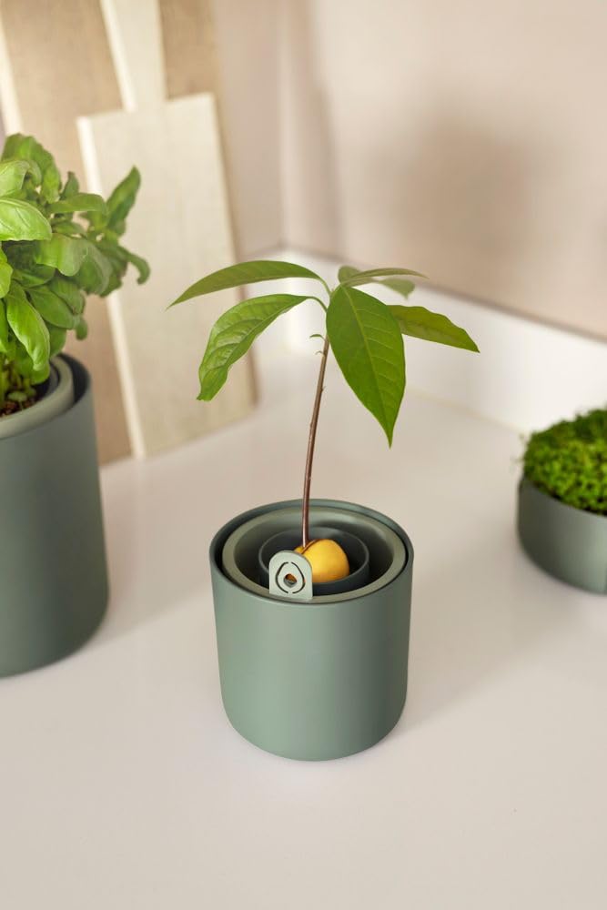elho Amazing Avocado Pot Blumentopf leaf green 12 cm recycelt